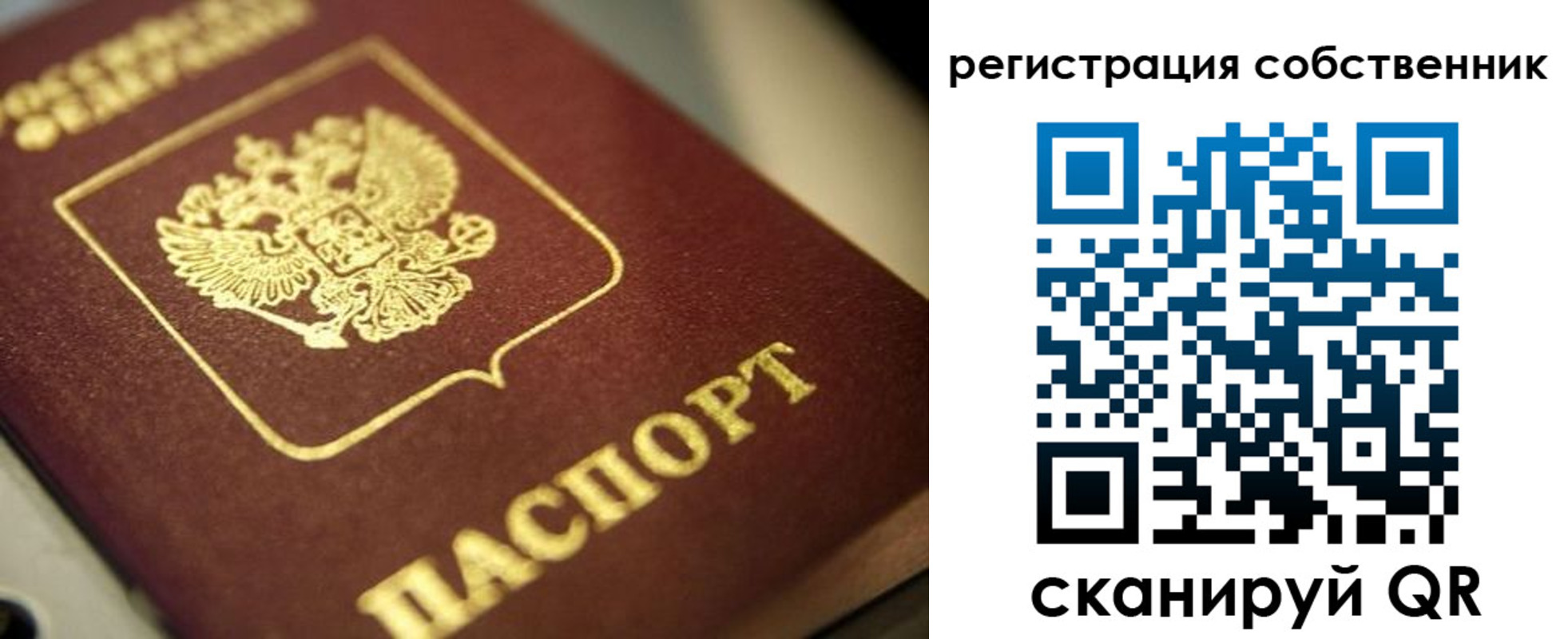 прописка в Самарской области